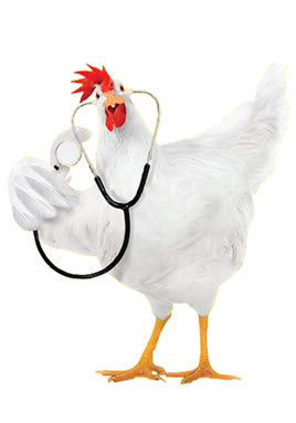 Diploma in Poultry Health